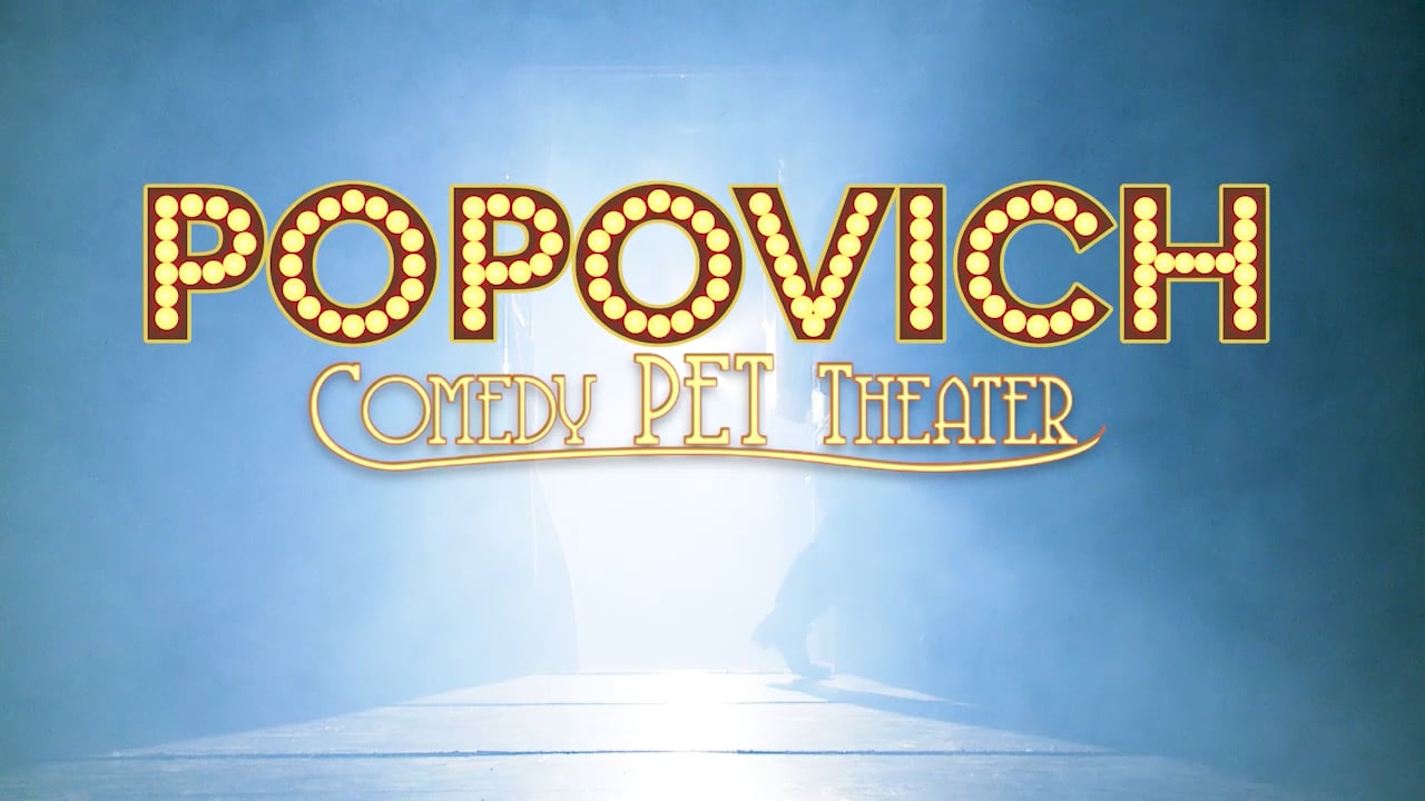Enjoy a fun family show at the Popovich Comedy Pet Theater.