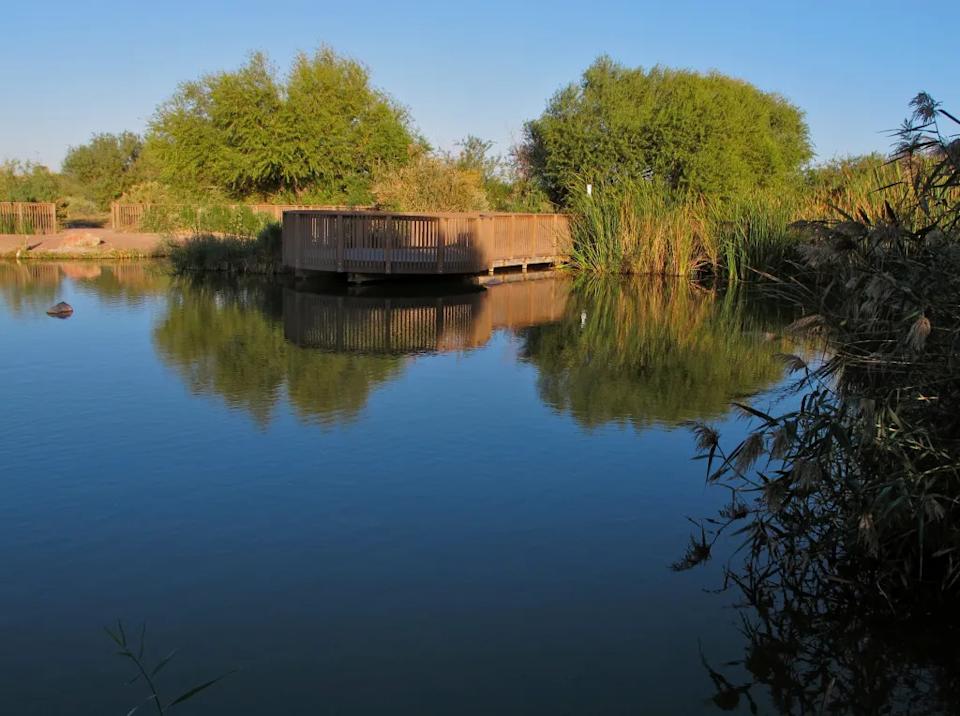 Viewing platform at Clark County Wetlands Park, inviting exploration of Henderson's natural landscapes.