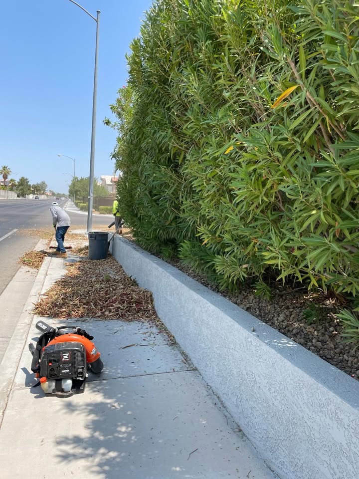 A glimpse into the comprehensive services offered by JR's Lawn Maintenance LLC.