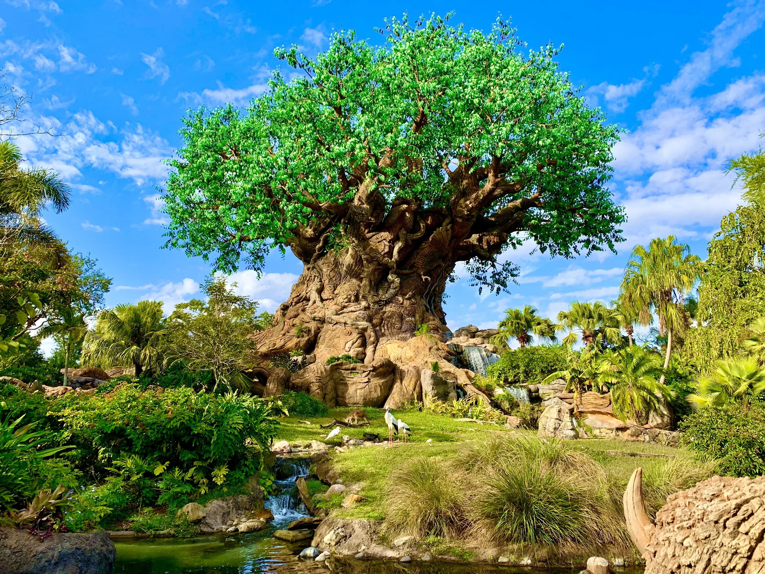 Cultivating energy solutions that nurture and harness Earth’s resources responsibly.